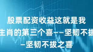 股票配资收益这就是我们马生肖的第三个喜——坚韧不拔之喜