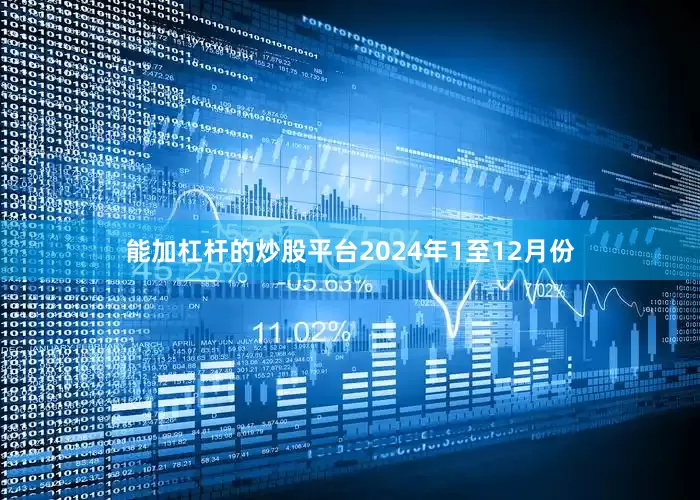 能加杠杆的炒股平台　　2024年1至12月份